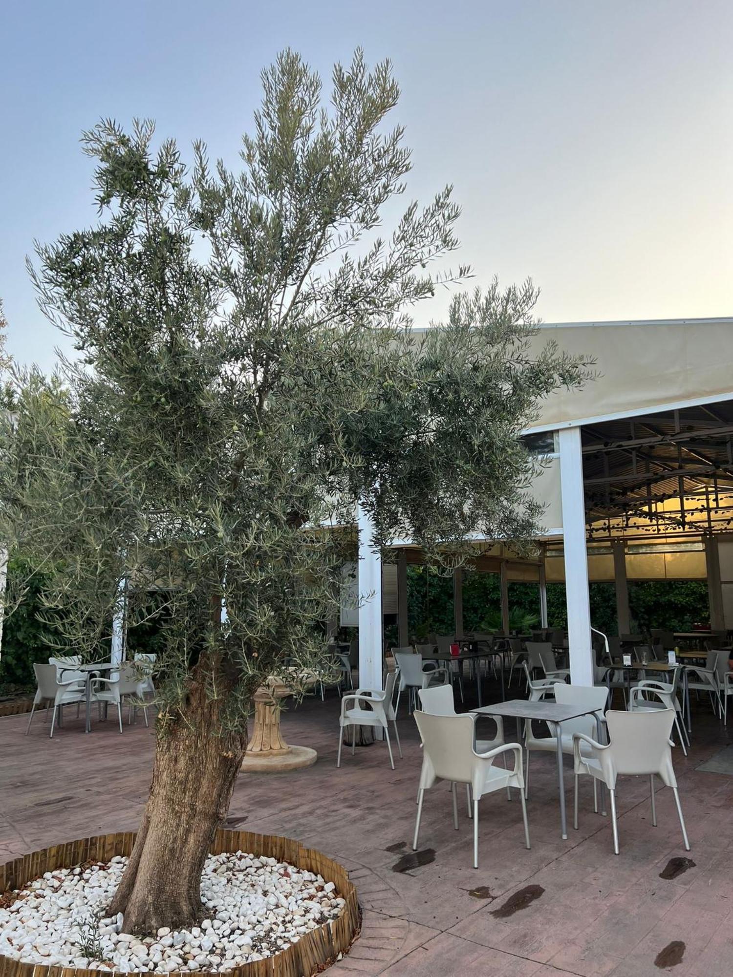 Finana Pension Xiquena מראה חיצוני תמונה